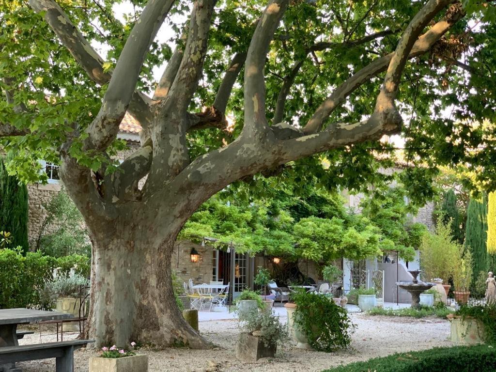 Le Clos De Lucie Lagnes Esterno foto