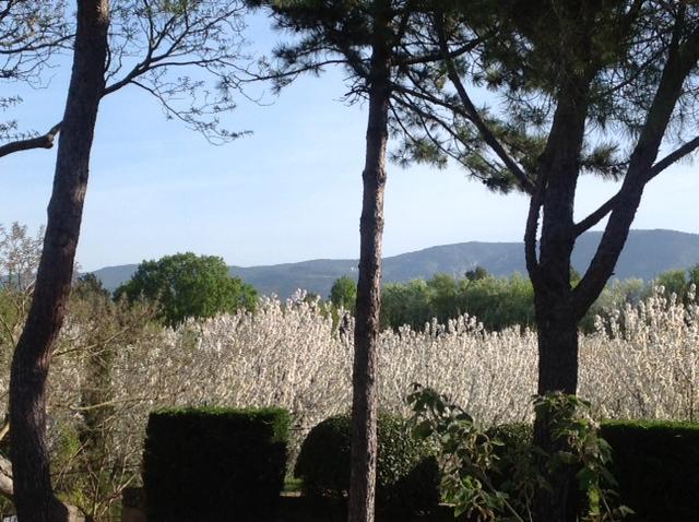 Le Clos De Lucie Lagnes Esterno foto